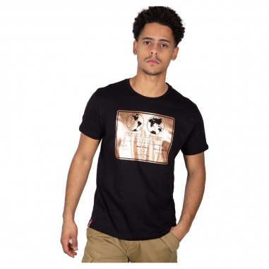 Lunar Plaque T